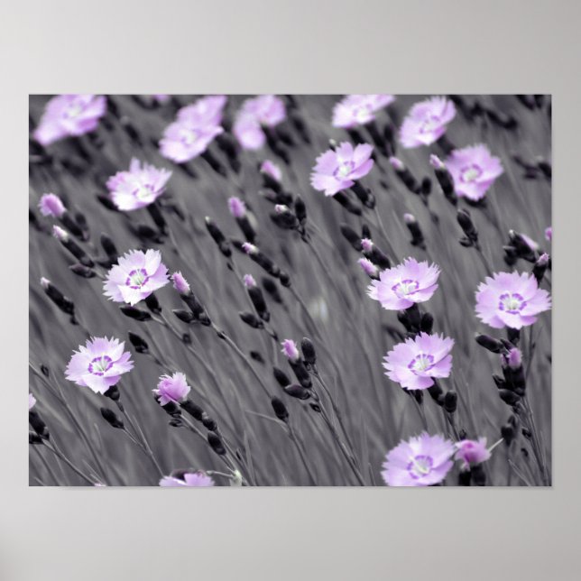Poster Pastel lilac (Devant)