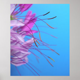 Poster Pastel Simplicity