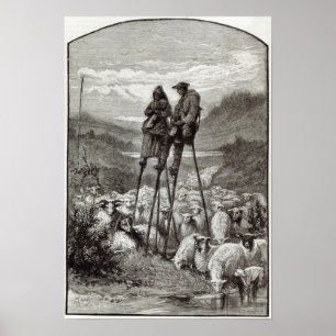 Poster Pastorale dans les Landes