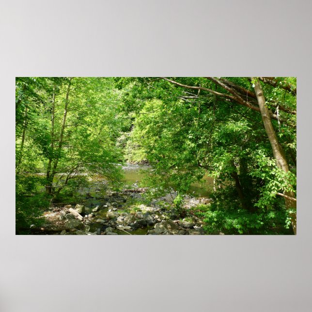 Poster Patapsco River View Maryland Nature Photographie (Devant)