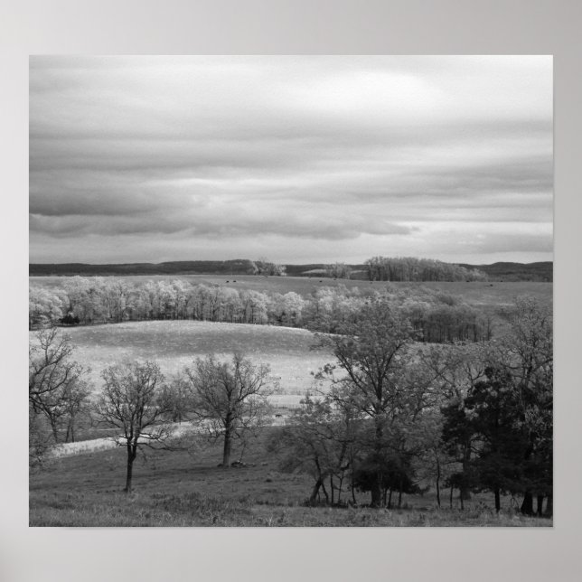 Poster Patches de Sun (Devant)