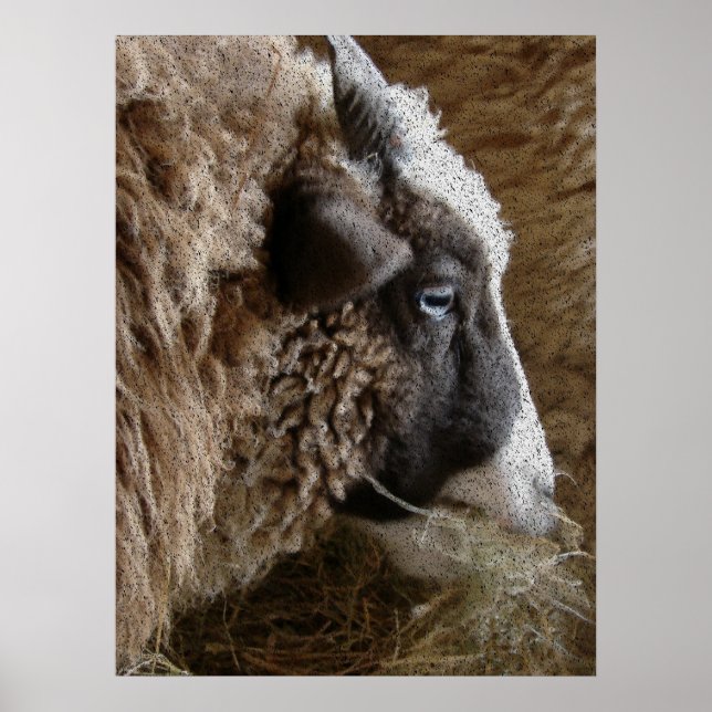 Poster Patchwork Amy (Devant)