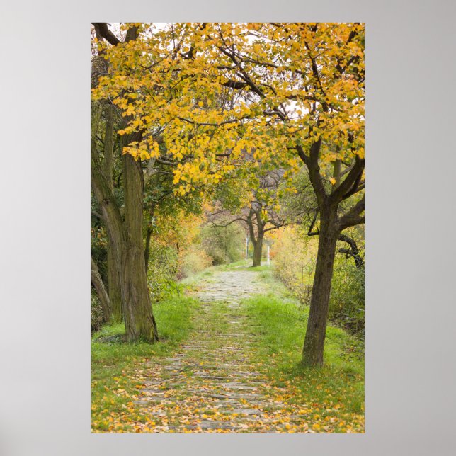 Poster Pathway en Autumn (Devant)