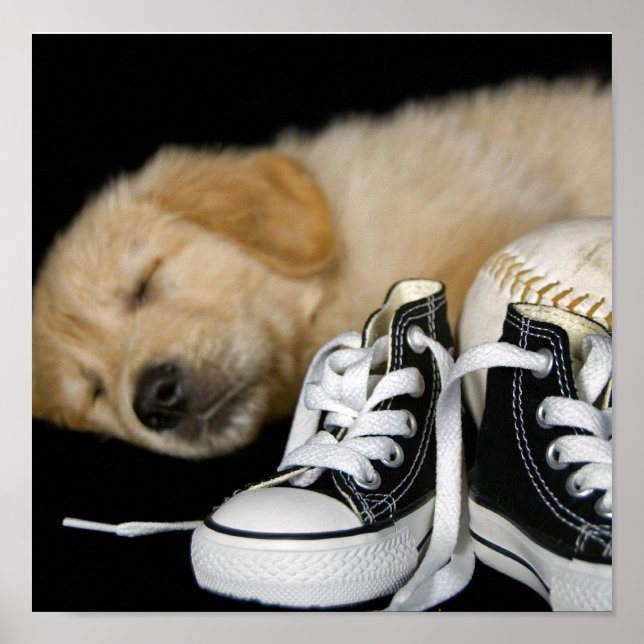 Poster Patiemment en attente (Devant)