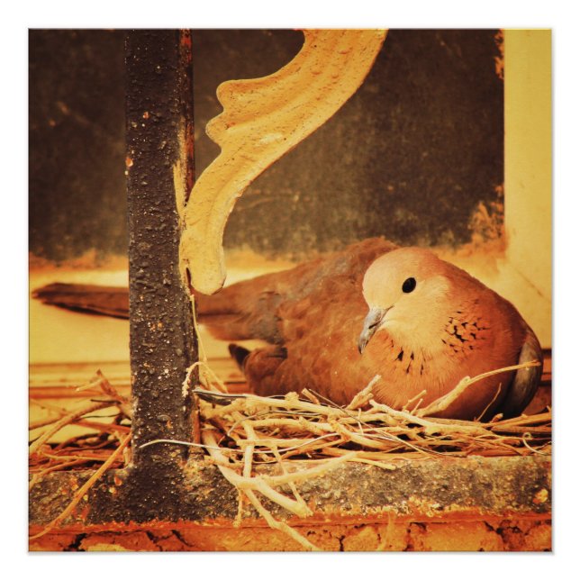 Poster Patience (Devant)