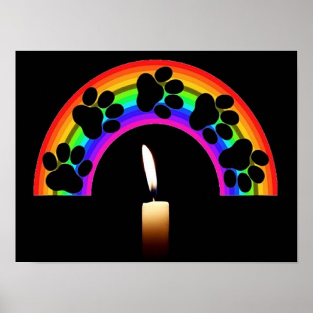 Poster Patrouilles Sur Arc En Ciel Avec Bougie (Devant)