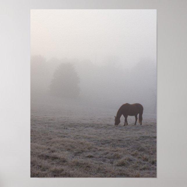 Poster Pâturage (Devant)