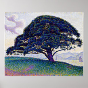 Poster Paul Signac - Le pin Bonaventure