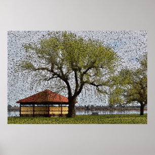 Poster Pavillon du lac Wendouree Ballarat