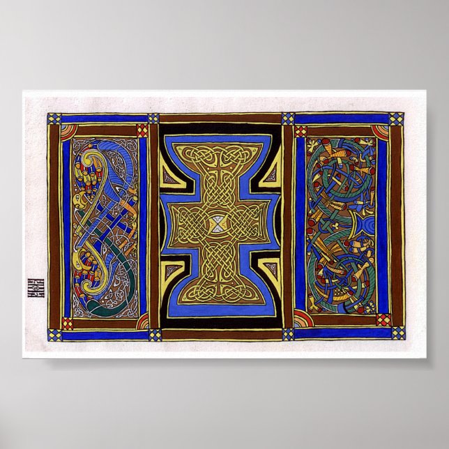 Poster Pavo Floris (Devant)