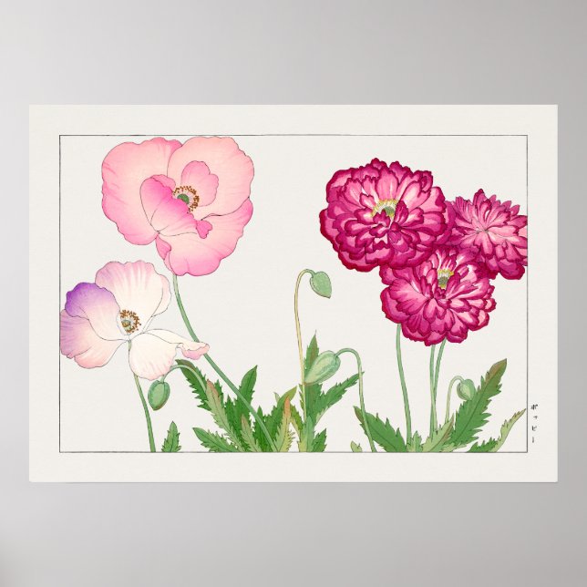 Poster Pavot #3, rose rouge et pourpre, par Tanigami Kona (Devant)