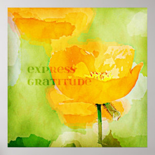 Poster Pavot exprès d'orange de gratitude