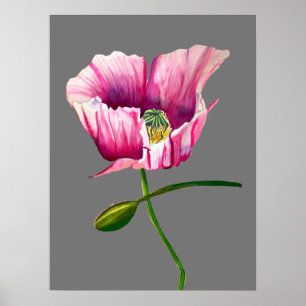 Poster Pavot rose aquarelle jolie fleur