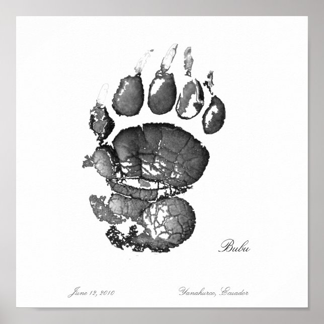 Poster Pawprint Bubu (Devant)
