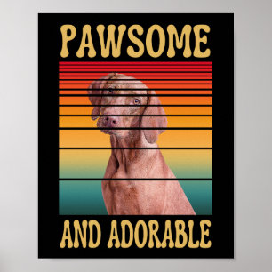 POSTER PAWSOMENT ET ADORABLE