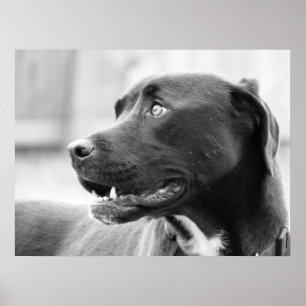 Poster Payer attention