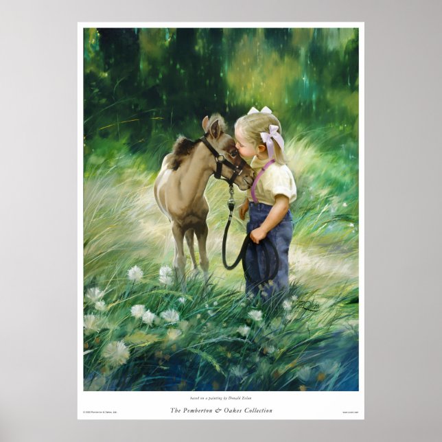 Poster Pays amis (Devant)