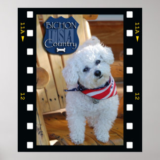 Poster Pays de Bichon avec cadre négatif