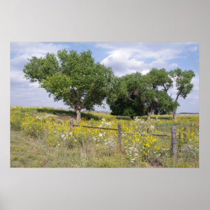 Poster Pays de l'Oklahoma