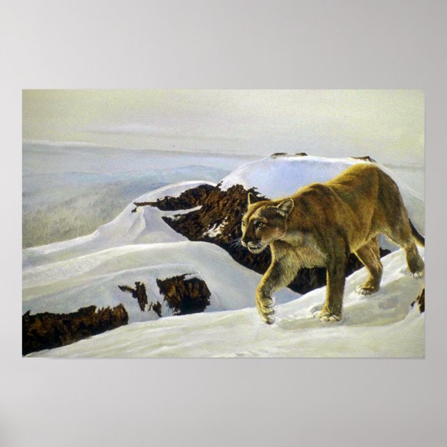 Poster Pays du Cougar (Devant)