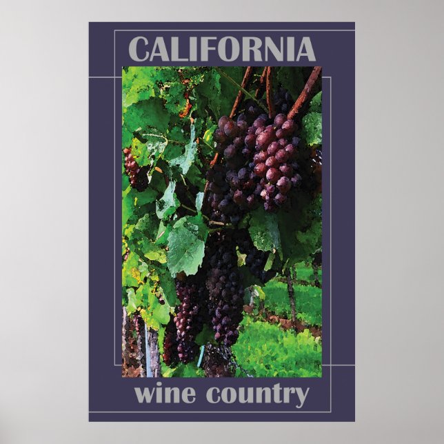 Poster Pays vinicole de Californie (Devant)