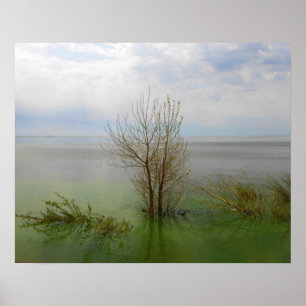 Poster Paysage