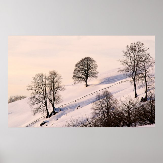 POSTER PAYSAGE (Devant)