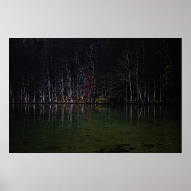 Poster Paysage arboré au lac (Devant)