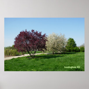 Poster Paysage Beau avec des Arbres