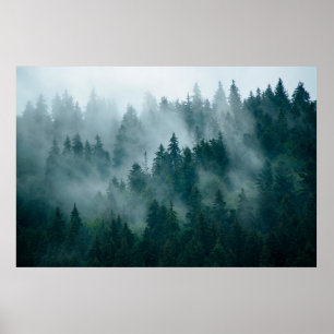 Poster Paysage bruyant avec forêt de sapins en hipster vi