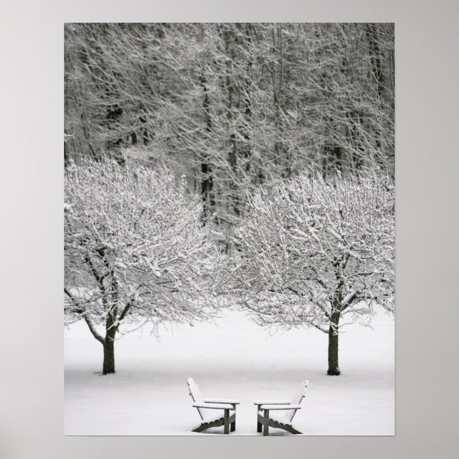 Poster Paysage couvert de neige (Devant)