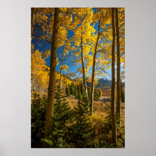 Poster Paysage dans les montagnes de San Juan