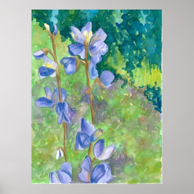 Poster Paysage d'aquarelle violette Fleur sauvage (Devant)