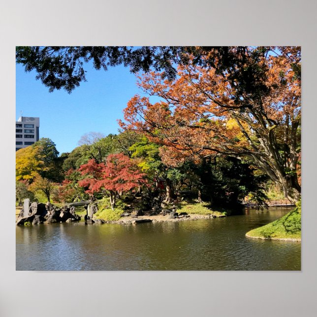 Poster Paysage d'arbres colorés dans le jardin japonais (Devant)