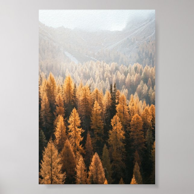 Poster Paysage d'automne (Devant)