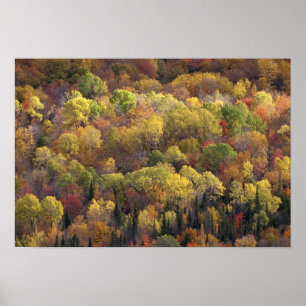 Poster paysage d'automne, Vermont, États-Unis