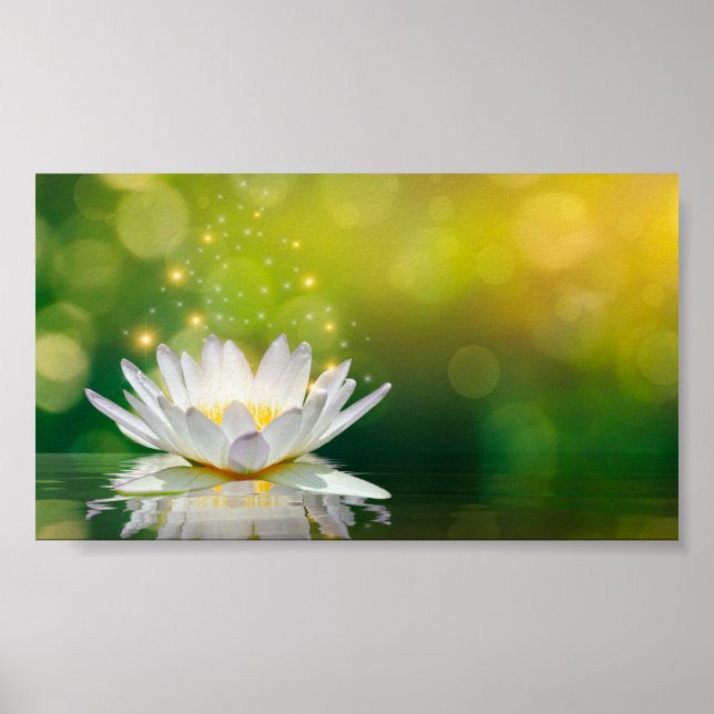 Poster Paysage de fleurs de lotus blanc, zen (Devant)