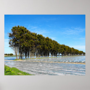 Poster Paysage de Jersey au printemps