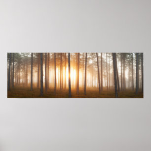 Poster Paysage de la pinède