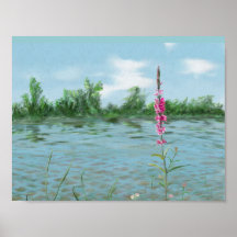 paysage de lac et fleurs sauvages couleur d'eau ar