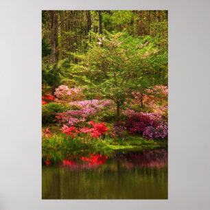 Poster Paysage de l'appel