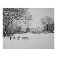 paysage de neige paysage d'hiver avec des arbres e