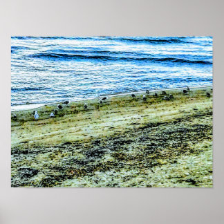 Poster Paysage de plage de Rhode Island Photo