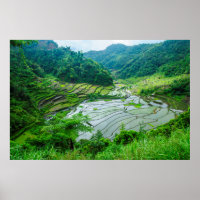 Paysage de rizières, Philippines
