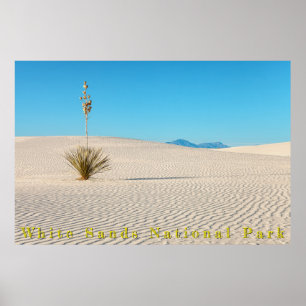 Poster Paysage de sables blancs du désert et Yucca
