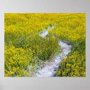 Poster Paysage de terrain Fleur sauvage jaune