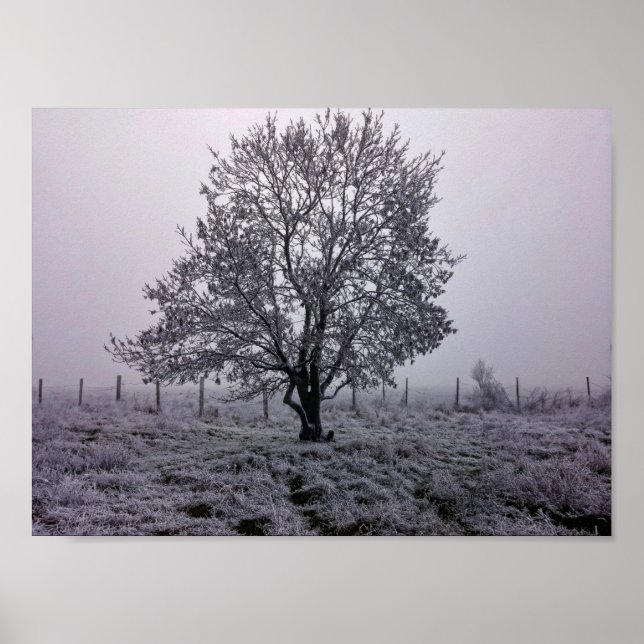 Poster Paysage des arbres d'hiver (Devant)