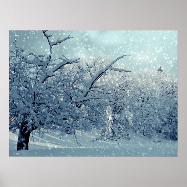 Poster Paysage des arbres d'hiver (Devant)