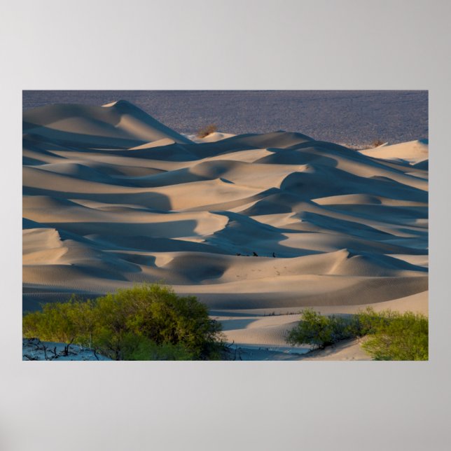 Poster Paysage des dunes de sable, Californie (Devant)