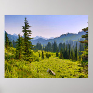 Poster Paysage des montagnes et des forêts État de Washin